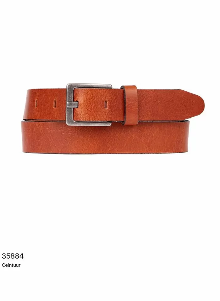 Petrol Riem Van - 35884 Ceintuur cognac Cheap